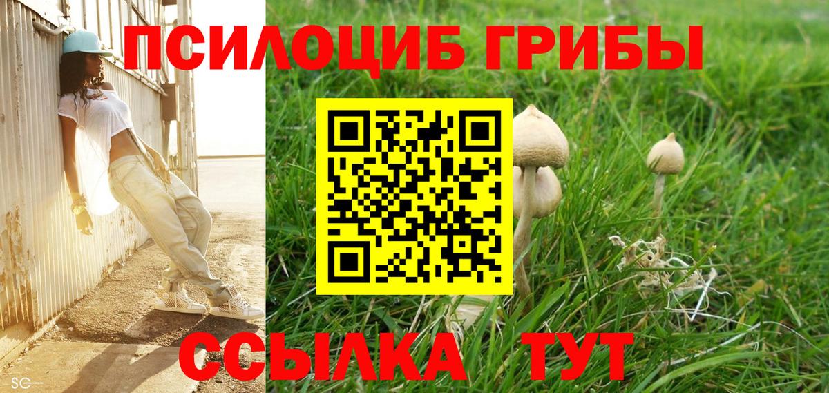 Псилоцибиновые грибы MAGIC MUSHROOMS  наркотики  Грязи  Галлюциногенные грибы GOLDEN TEACHER  Вход с VPN 